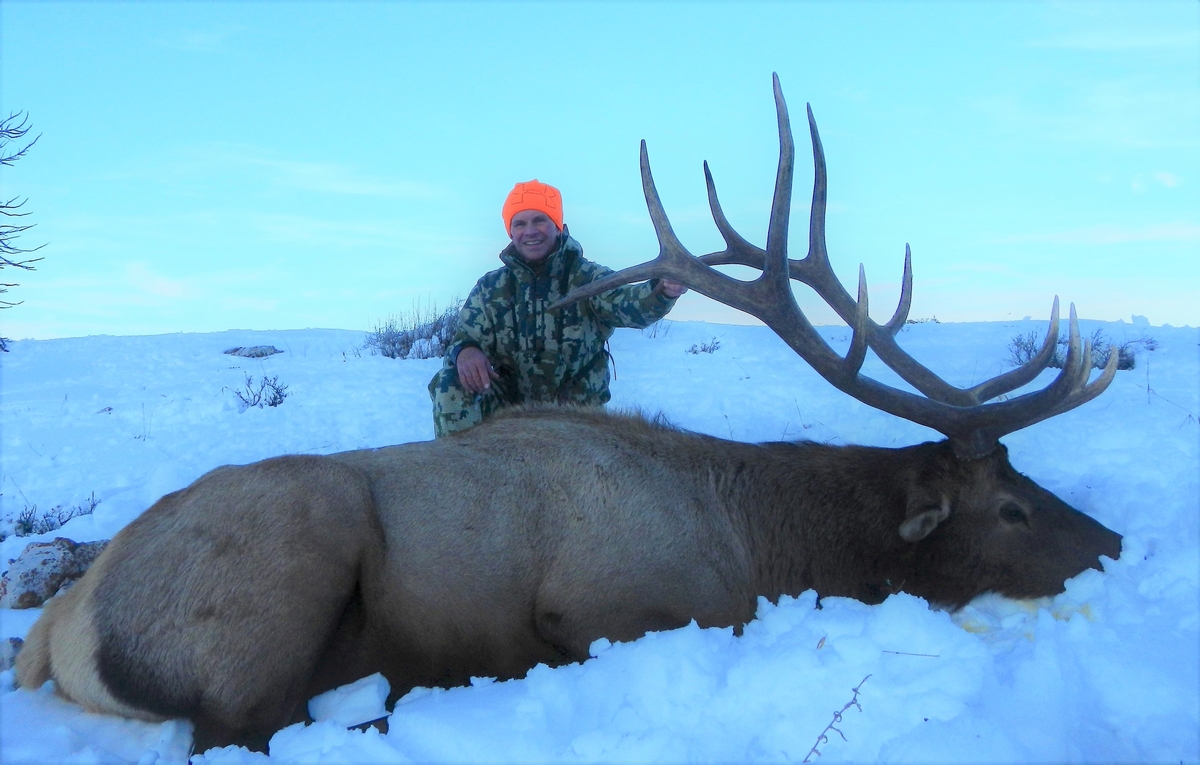 Trophy Wyoming Elk Hunts